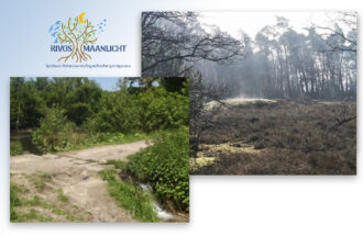 WORKSHOP: KRACHTPLEKKEN EN LEYLIJNEN