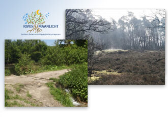 WORKSHOP: KRACHTPLEKKEN EN LEYLIJNEN