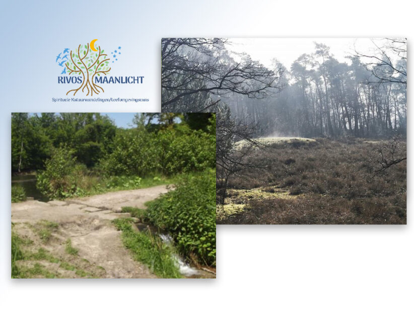 WORKSHOP: KRACHTPLEKKEN EN LEYLIJNEN