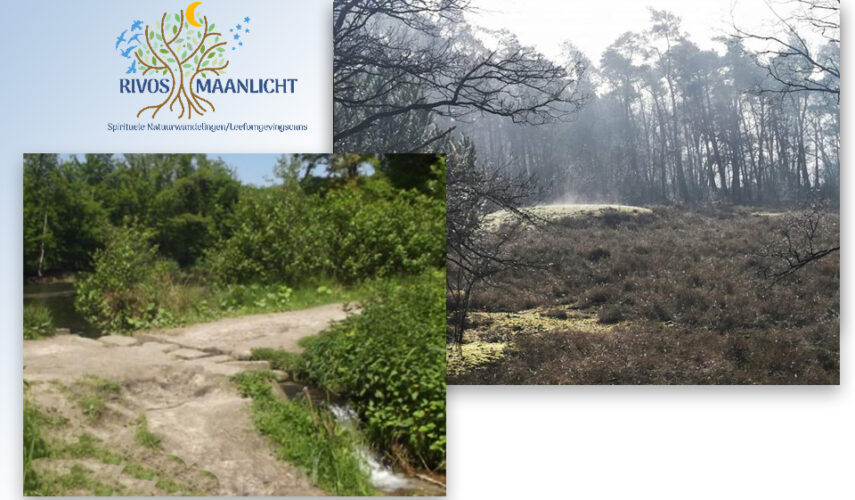 WORKSHOP: KRACHTPLEKKEN EN LEYLIJNEN