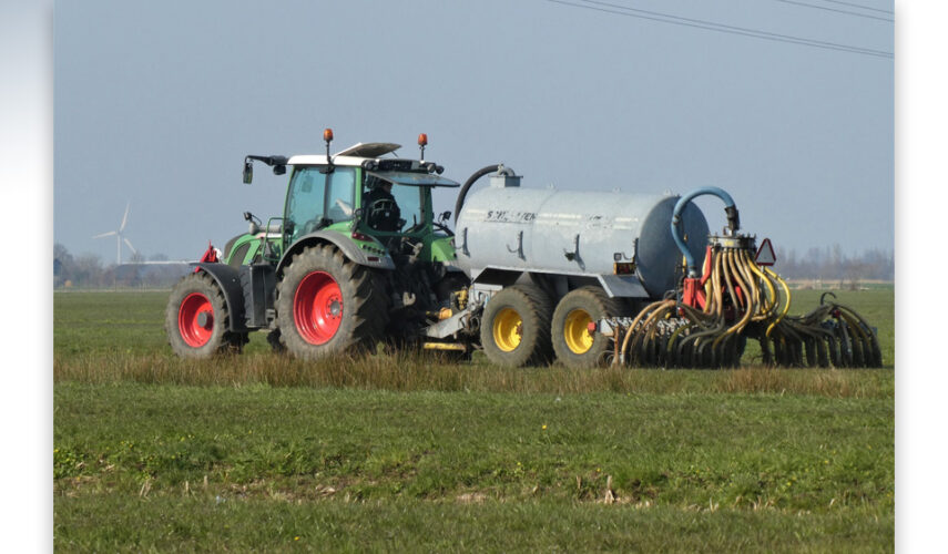 Tijd om te kiezen voor groen en gezond