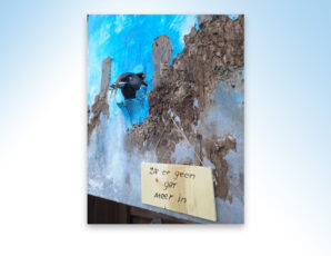 Niels Verbruggen wint publieksprijs Kunst in Ootmarsum