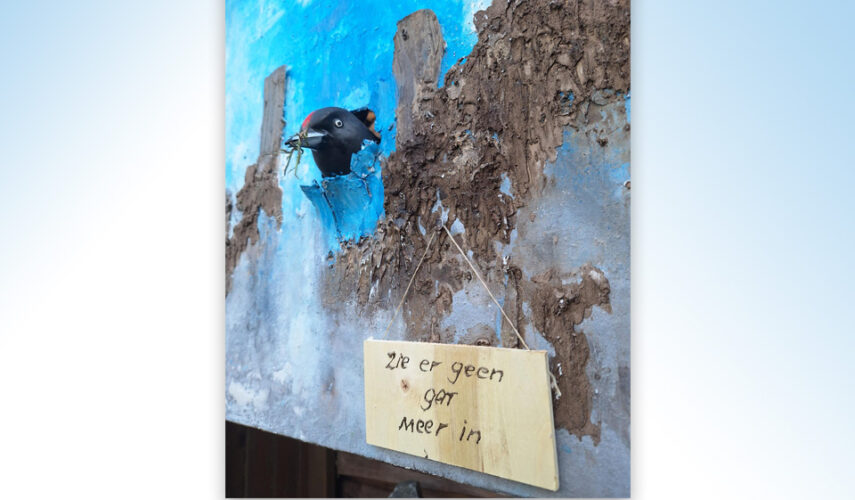 Niels Verbruggen wint publieksprijs Kunst in Ootmarsum