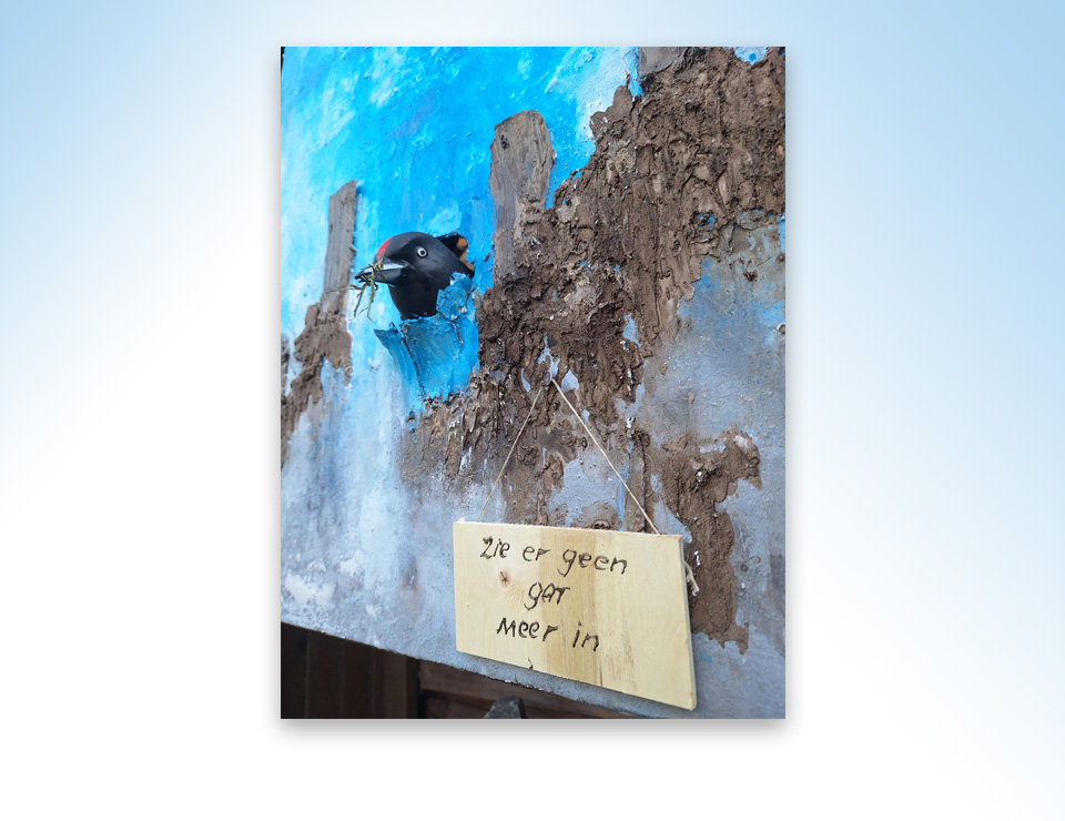 Niels Verbruggen wint publieksprijs Kunst in Ootmarsum