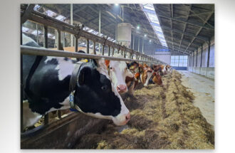 Staatsbosbeheer versterkt samenwerking met boeren in Twente