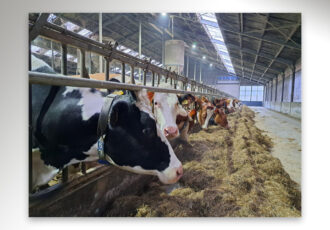 Staatsbosbeheer versterkt samenwerking met boeren in Twente
