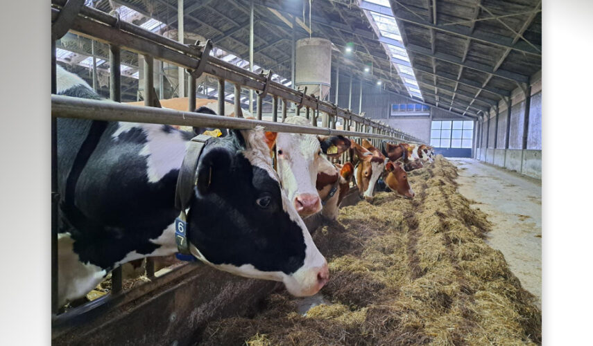 Staatsbosbeheer versterkt samenwerking met boeren in Twente