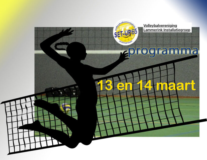 Veel Volleystars in sporthal de Schalm