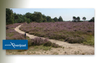 Provincie start gebiedsgericht proces in en rondom Borkeld