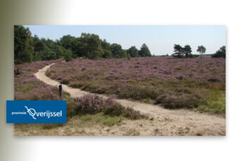 Provincie start gebiedsgericht proces in en rondom Borkeld