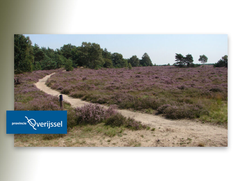 Provincie start gebiedsgericht proces in en rondom Borkeld