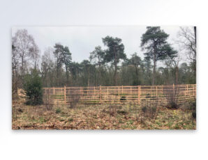Houten rasters in het Springendal beschermen jonge bomen