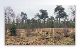Houten rasters in het Springendal beschermen jonge bomen