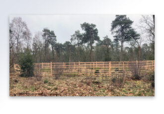 Houten rasters in het Springendal beschermen jonge bomen