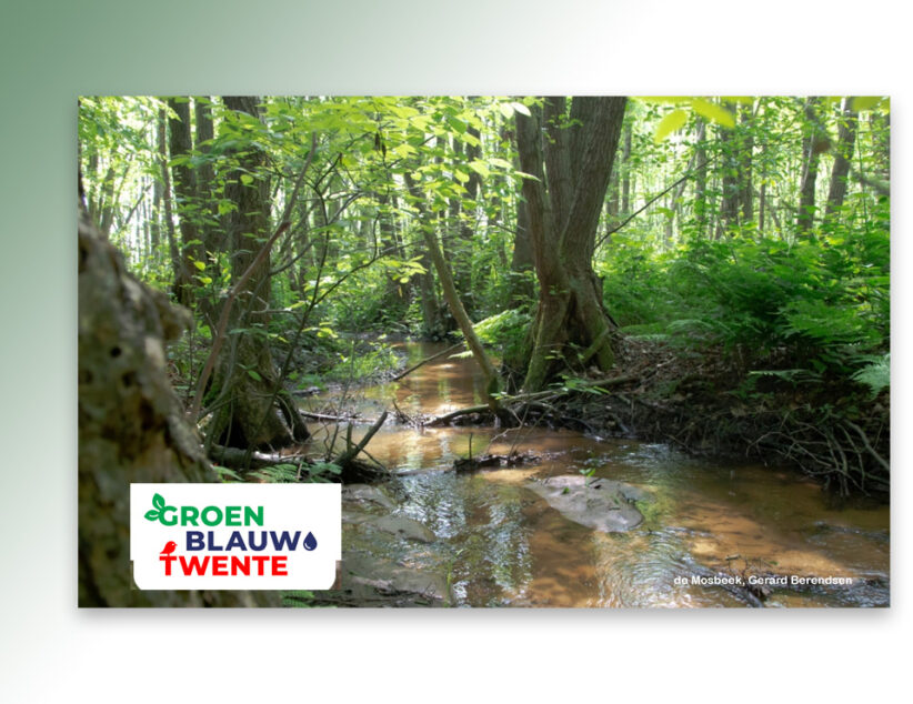 Beleef de Twentse Waterweken in Dinkelland en Tubbergen