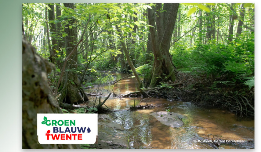 Beleef de Twentse Waterweken in Dinkelland en Tubbergen