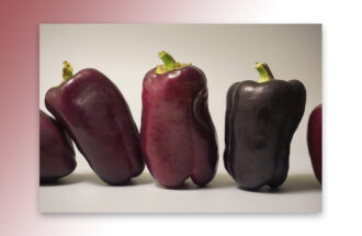 Niet meteen naar de Ootmarsumse huisarts, maar zelf je brandend maagzuur oplossen doe je zo