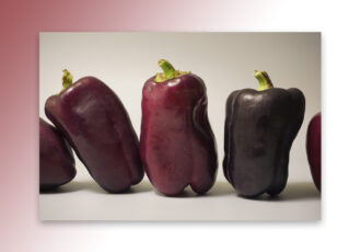 Niet meteen naar de Ootmarsumse huisarts, maar zelf je brandend maagzuur oplossen doe je zo