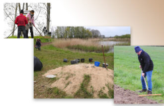 Volgende ‘reddingsboei’ voor insecten ingezaaid