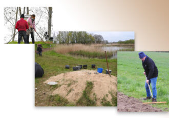 Volgende ‘reddingsboei’ voor insecten ingezaaid