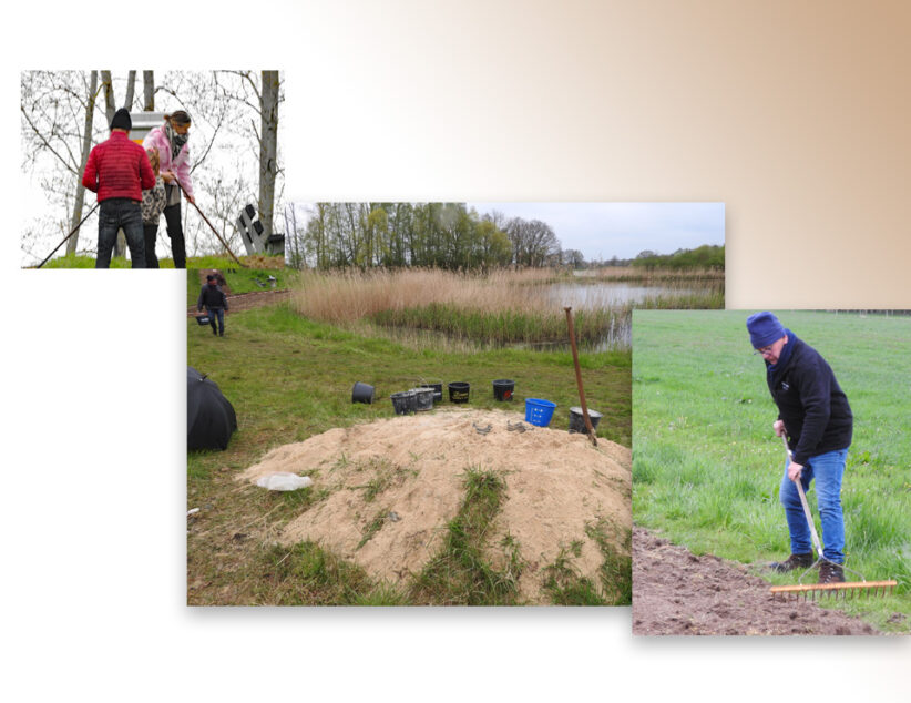 Volgende ‘reddingsboei’ voor insecten ingezaaid