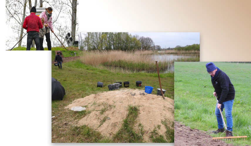 Volgende ‘reddingsboei’ voor insecten ingezaaid