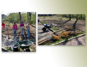 Leerlingen helpen vlinders en bijen