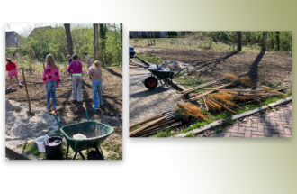 Leerlingen helpen vlinders en bijen