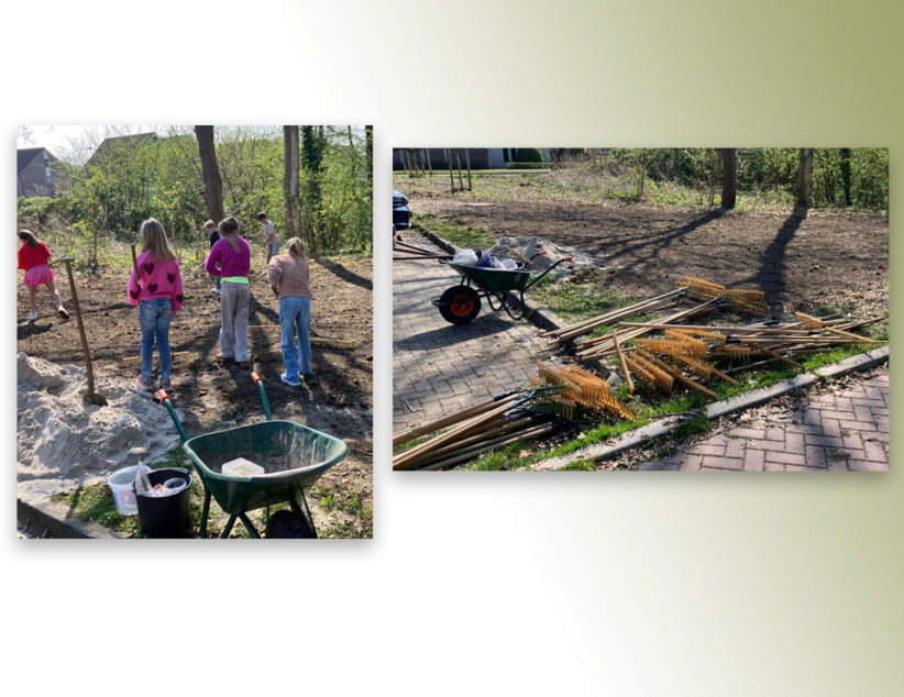Leerlingen helpen vlinders en bijen