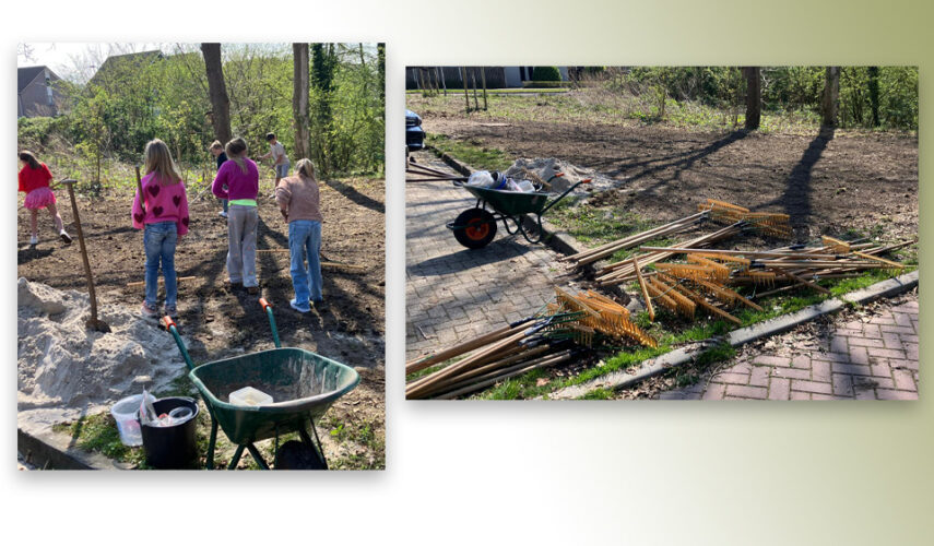 Leerlingen helpen vlinders en bijen