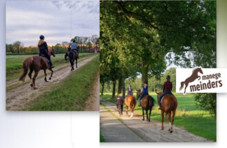 Buitenrit door de prachtige Twentse natuur