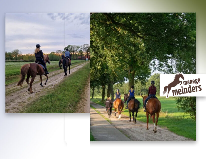 Buitenrit door de prachtige Twentse natuur