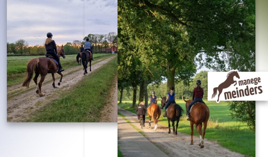 Buitenrit door de prachtige Twentse natuur