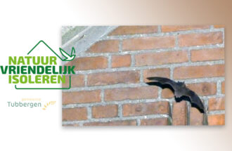 Ecologisch buurtonderzoek naar vleermuizen en vogels