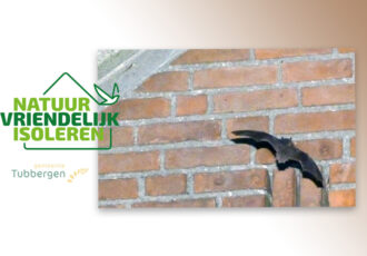 Ecologisch buurtonderzoek naar vleermuizen en vogels