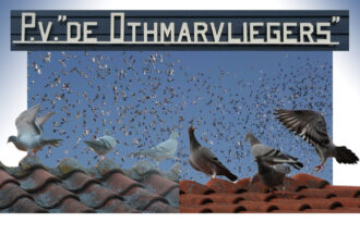 (Triest)Nieuws van de Othmarvliegers 4