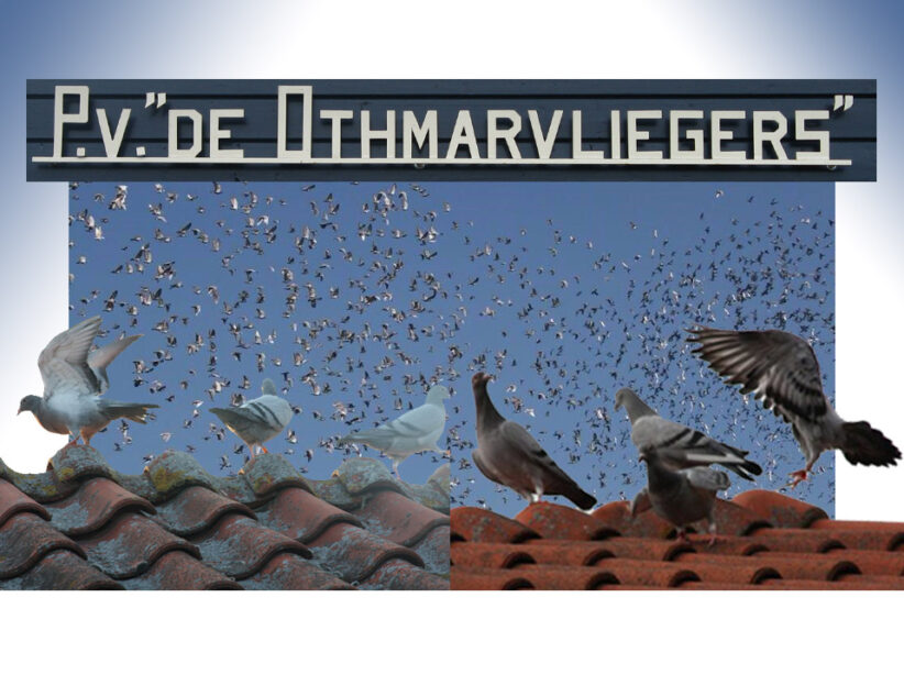 (Triest)Nieuws van de Othmarvliegers 4