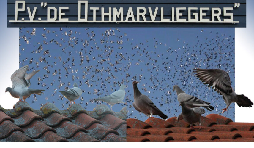 (Triest)Nieuws van de Othmarvliegers 4