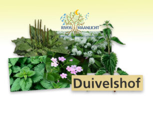 Kruidenworkshop in Duivelshof