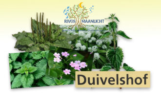 Kruidenworkshop in Duivelshof