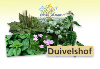 Kruidenworkshop in Duivelshof