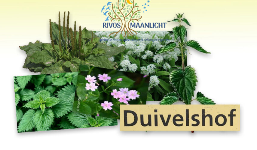 Kruidenworkshop in Duivelshof