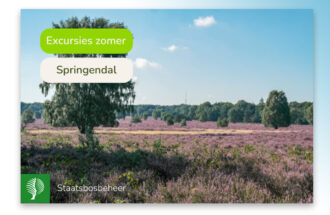 Zomerexcursies Staatsbosbeheer in het Springendal