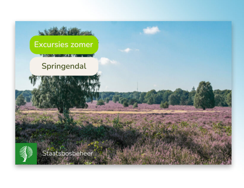 Zomerexcursies Staatsbosbeheer in het Springendal