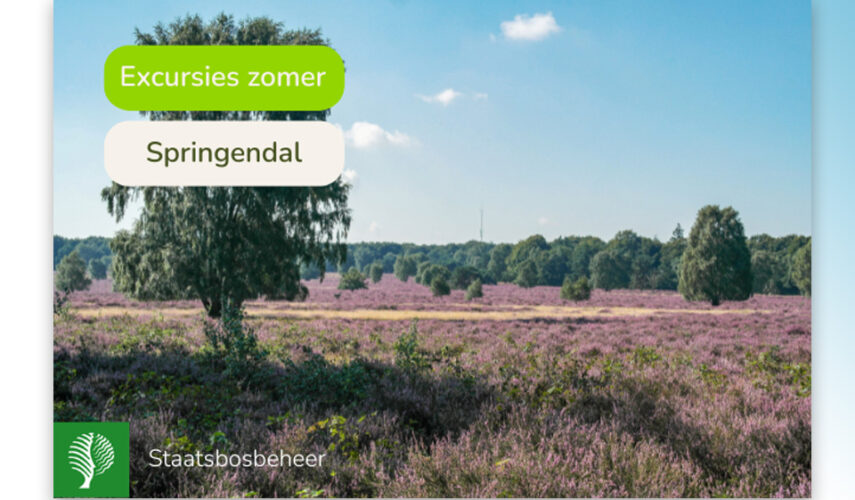 Zomerexcursies Staatsbosbeheer in het Springendal
