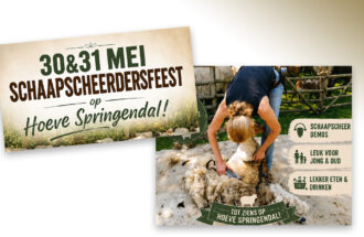 Schaapscheerdersfeest op Hoeve Springendal