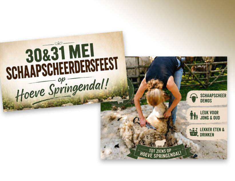 Schaapscheerdersfeest op Hoeve Springendal