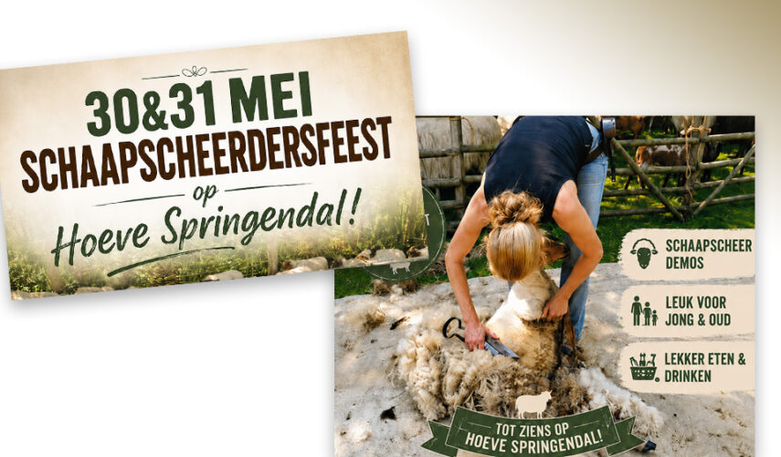 Schaapscheerdersfeest op Hoeve Springendal