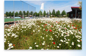 Subsidieregeling Natuur voor Elkaar voor sportterreinen uitgebreid