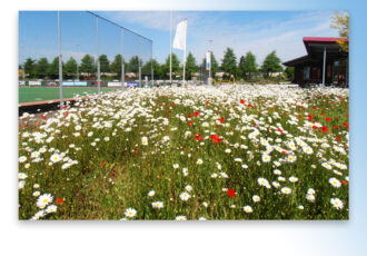 Subsidieregeling Natuur voor Elkaar voor sportterreinen uitgebreid